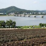 광양 청매실농원 전경과 섬진강 풍경