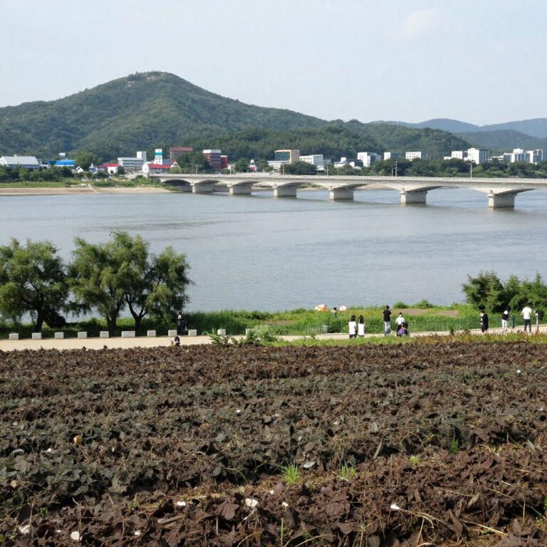 광양 청매실농원 전경과 섬진강 풍경