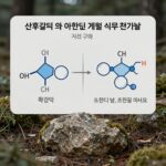 산화칼륨 및 아황산염 계열 식품 첨가물의 화학 구조 비교 도표