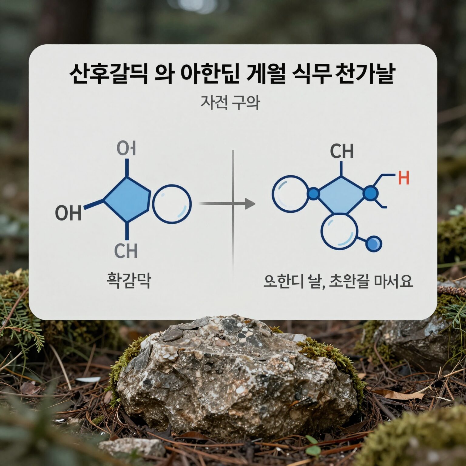 산화칼륨 및 아황산염 계열 식품 첨가물의 화학 구조 비교 도표